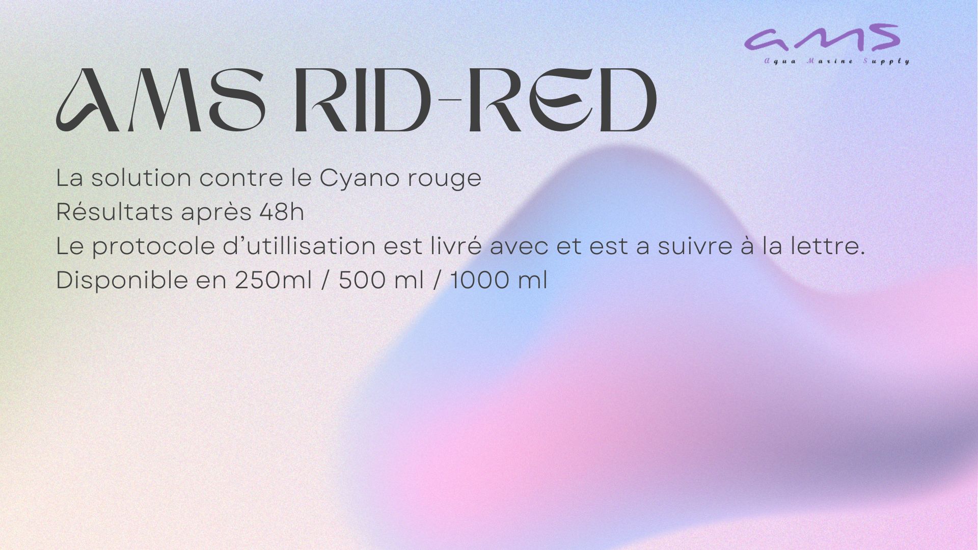 Ams Rid-red fr