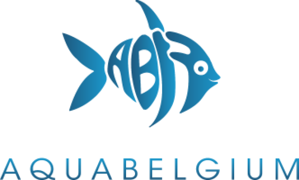Aquabelgium
